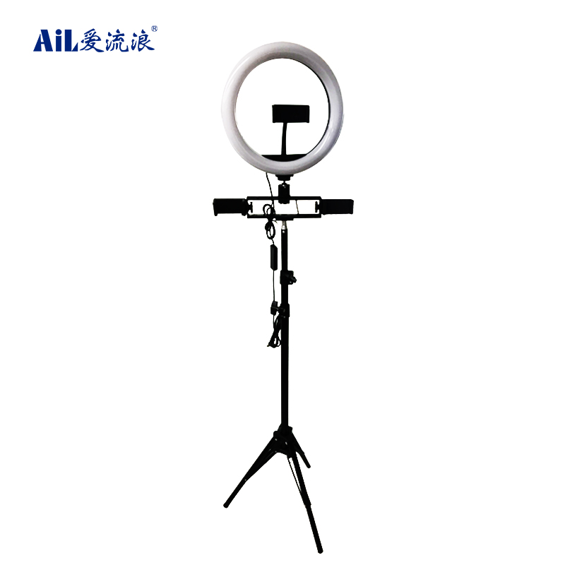 Beauty 10 inch Tiktok Photographic Selfie Led Ring Light With Tripod Stand